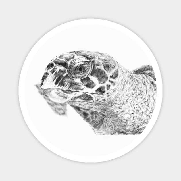 Carey Turtle portrait Magnet by Producer